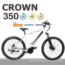 2020 Fashion Design 26 Inch 48V MID Motor Electric Bike Beach Bike